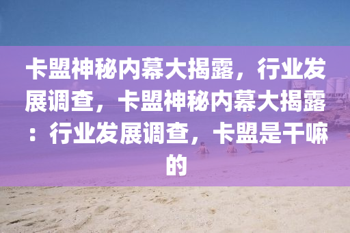 卡盟神秘内幕大揭露，行业发展调查，卡盟神秘内幕大揭露：行业发展调查，卡盟是干嘛的