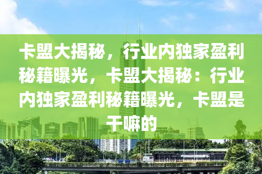 卡盟大揭秘，行业内独家盈利秘籍曝光，卡盟大揭秘：行业内独家盈利秘籍曝光，卡盟是干嘛的