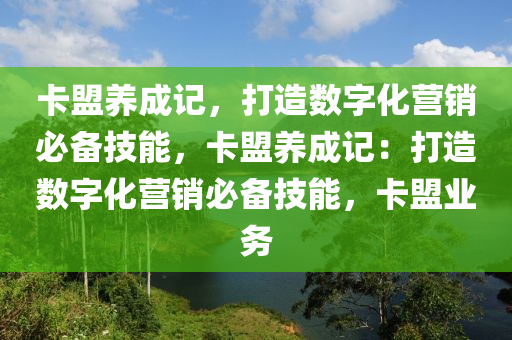 卡盟养成记，打造数字化营销必备技能，卡盟养成记：打造数字化营销必备技能，卡盟业务