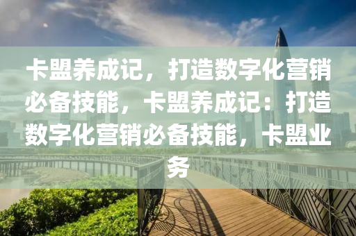卡盟养成记，打造数字化营销必备技能，卡盟养成记：打造数字化营销必备技能，卡盟业务