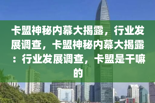 卡盟神秘内幕大揭露，行业发展调查，卡盟神秘内幕大揭露：行业发展调查，卡盟是干嘛的