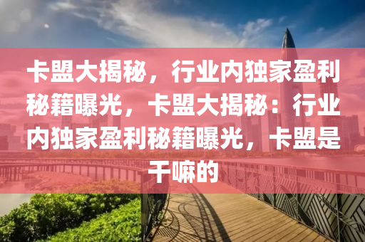卡盟大揭秘，行业内独家盈利秘籍曝光，卡盟大揭秘：行业内独家盈利秘籍曝光，卡盟是干嘛的