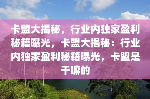 卡盟大揭秘，行业内独家盈利秘籍曝光，卡盟大揭秘：行业内独家盈利秘籍曝光，卡盟是干嘛的