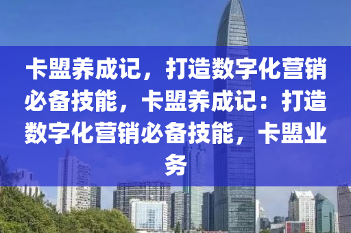 卡盟养成记，打造数字化营销必备技能，卡盟养成记：打造数字化营销必备技能，卡盟业务