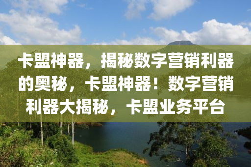卡盟神器，揭秘数字营销利器的奥秘，卡盟神器！数字营销利器大揭秘，卡盟业务平台