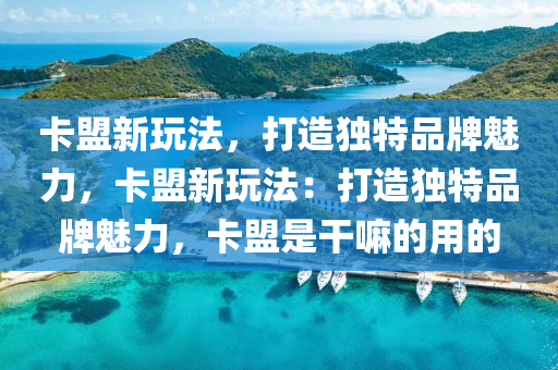 卡盟新玩法，打造独特品牌魅力，卡盟新玩法：打造独特品牌魅力，卡盟是干嘛的用的