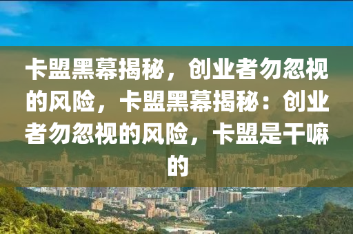卡盟黑幕揭秘，创业者勿忽视的风险，卡盟黑幕揭秘：创业者勿忽视的风险，卡盟是干嘛的