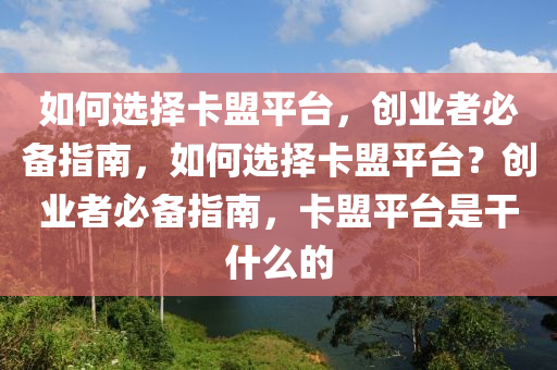如何选择卡盟平台，创业者必备指南，如何选择卡盟平台？创业者必备指南，卡盟平台是干什么的