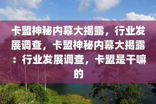 卡盟神秘内幕大揭露，行业发展调查，卡盟神秘内幕大揭露：行业发展调查，卡盟是干嘛的