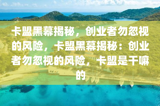 卡盟黑幕揭秘，创业者勿忽视的风险，卡盟黑幕揭秘：创业者勿忽视的风险，卡盟是干嘛的