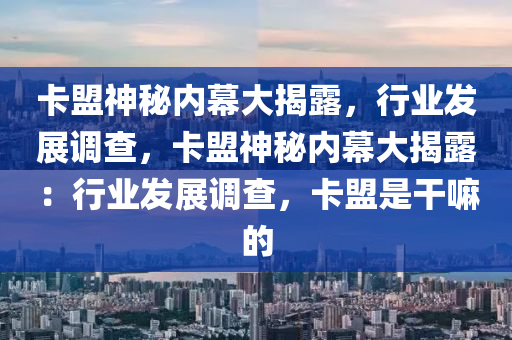 卡盟神秘内幕大揭露，行业发展调查，卡盟神秘内幕大揭露：行业发展调查，卡盟是干嘛的