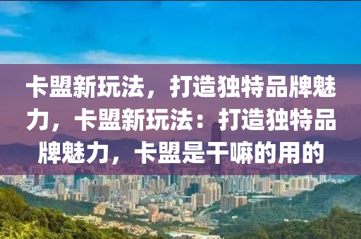 卡盟新玩法，打造独特品牌魅力，卡盟新玩法：打造独特品牌魅力，卡盟是干嘛的用的