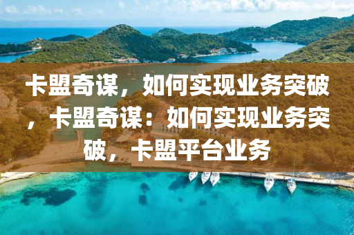 卡盟奇谋，如何实现业务突破，卡盟奇谋：如何实现业务突破，卡盟平台业务
