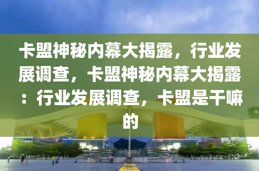 卡盟神秘内幕大揭露，行业发展调查，卡盟神秘内幕大揭露：行业发展调查，卡盟是干嘛的