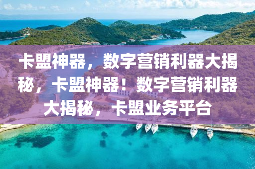 卡盟神器，数字营销利器大揭秘，卡盟神器！数字营销利器大揭秘，卡盟业务平台