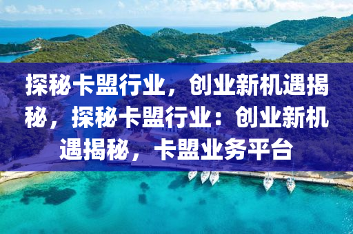 探秘卡盟行业，创业新机遇揭秘，探秘卡盟行业：创业新机遇揭秘，卡盟业务平台