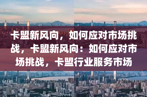 卡盟新风向，如何应对市场挑战，卡盟新风向：如何应对市场挑战，卡盟行业服务市场