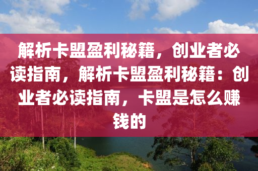 解析卡盟盈利秘籍，创业者必读指南，解析卡盟盈利秘籍：创业者必读指南，卡盟是怎么赚钱的