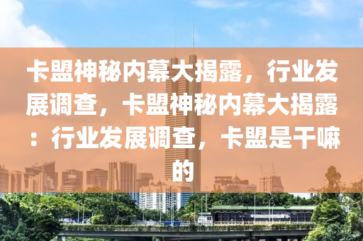 卡盟神秘内幕大揭露，行业发展调查，卡盟神秘内幕大揭露：行业发展调查，卡盟是干嘛的