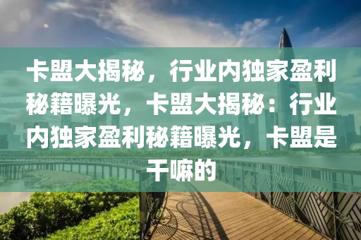 卡盟大揭秘，行业内独家盈利秘籍曝光，卡盟大揭秘：行业内独家盈利秘籍曝光，卡盟是干嘛的