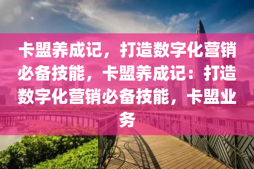 卡盟养成记，打造数字化营销必备技能，卡盟养成记：打造数字化营销必备技能，卡盟业务