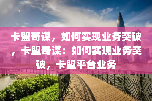 卡盟奇谋，如何实现业务突破，卡盟奇谋：如何实现业务突破，卡盟平台业务