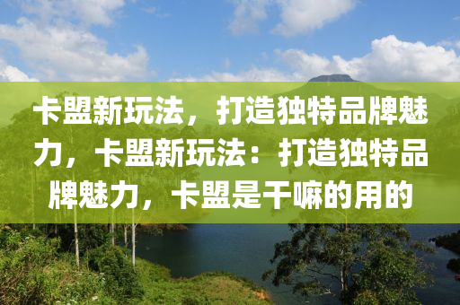 卡盟新玩法，打造独特品牌魅力，卡盟新玩法：打造独特品牌魅力，卡盟是干嘛的用的