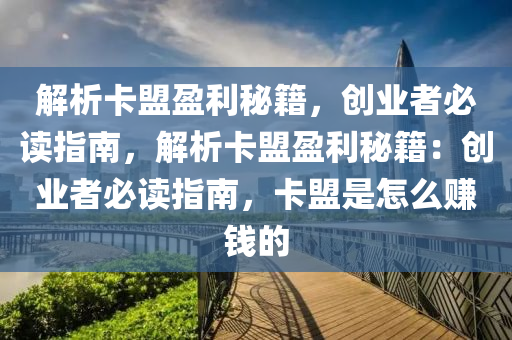 解析卡盟盈利秘籍，创业者必读指南，解析卡盟盈利秘籍：创业者必读指南，卡盟是怎么赚钱的