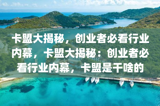 卡盟大揭秘，创业者必看行业内幕，卡盟大揭秘：创业者必看行业内幕，卡盟是干啥的