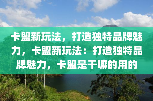 卡盟新玩法，打造独特品牌魅力，卡盟新玩法：打造独特品牌魅力，卡盟是干嘛的用的