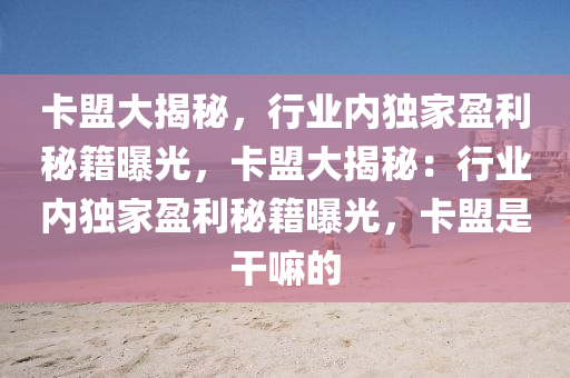 卡盟大揭秘，行业内独家盈利秘籍曝光，卡盟大揭秘：行业内独家盈利秘籍曝光，卡盟是干嘛的