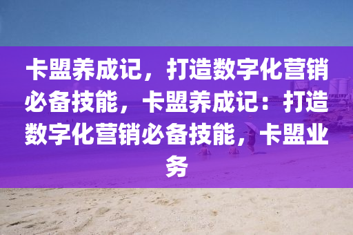 卡盟养成记，打造数字化营销必备技能，卡盟养成记：打造数字化营销必备技能，卡盟业务