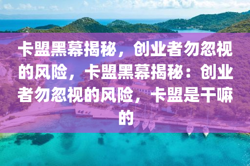 卡盟黑幕揭秘，创业者勿忽视的风险，卡盟黑幕揭秘：创业者勿忽视的风险，卡盟是干嘛的