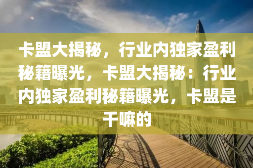 卡盟大揭秘，行业内独家盈利秘籍曝光，卡盟大揭秘：行业内独家盈利秘籍曝光，卡盟是干嘛的