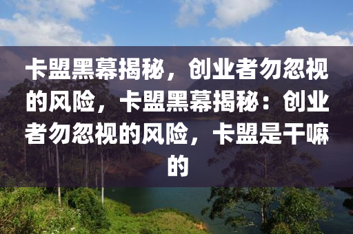 卡盟黑幕揭秘，创业者勿忽视的风险，卡盟黑幕揭秘：创业者勿忽视的风险，卡盟是干嘛的