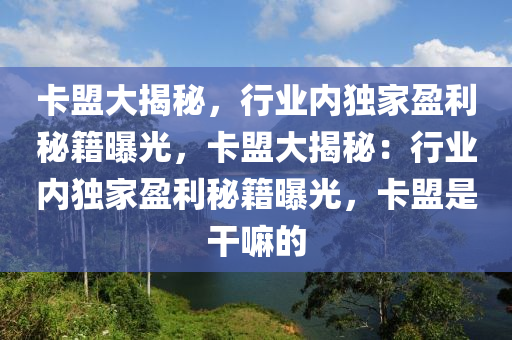 卡盟大揭秘，行业内独家盈利秘籍曝光，卡盟大揭秘：行业内独家盈利秘籍曝光，卡盟是干嘛的