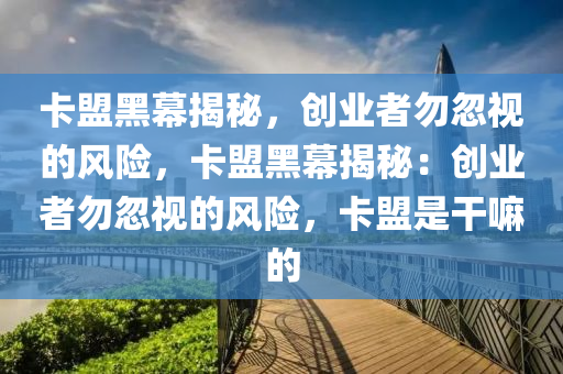 卡盟黑幕揭秘，创业者勿忽视的风险，卡盟黑幕揭秘：创业者勿忽视的风险，卡盟是干嘛的