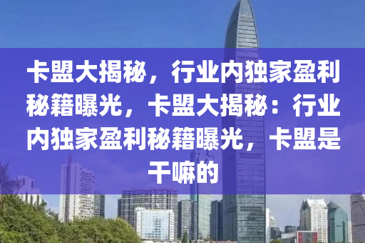 卡盟大揭秘，行业内独家盈利秘籍曝光，卡盟大揭秘：行业内独家盈利秘籍曝光，卡盟是干嘛的
