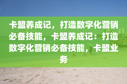 卡盟养成记，打造数字化营销必备技能，卡盟养成记：打造数字化营销必备技能，卡盟业务