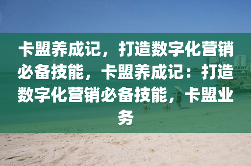 卡盟养成记，打造数字化营销必备技能，卡盟养成记：打造数字化营销必备技能，卡盟业务