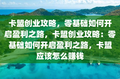 卡盟创业攻略，零基础如何开启盈利之路，卡盟创业攻略：零基础如何开启盈利之路，卡盟应该怎么赚钱