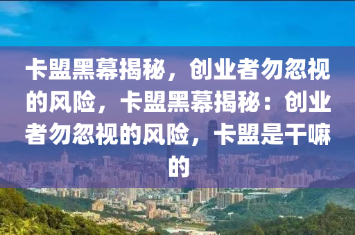 卡盟黑幕揭秘，创业者勿忽视的风险，卡盟黑幕揭秘：创业者勿忽视的风险，卡盟是干嘛的