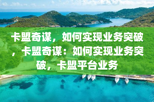 卡盟奇谋，如何实现业务突破，卡盟奇谋：如何实现业务突破，卡盟平台业务