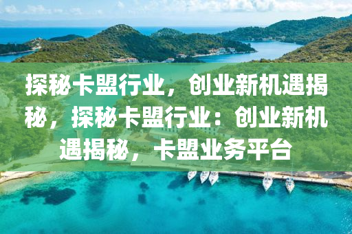 探秘卡盟行业，创业新机遇揭秘，探秘卡盟行业：创业新机遇揭秘，卡盟业务平台