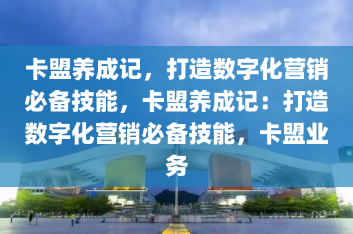 卡盟养成记，打造数字化营销必备技能，卡盟养成记：打造数字化营销必备技能，卡盟业务