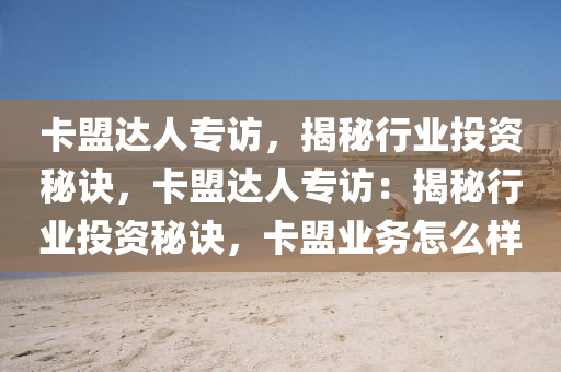 卡盟达人专访，揭秘行业投资秘诀，卡盟达人专访：揭秘行业投资秘诀，卡盟业务怎么样