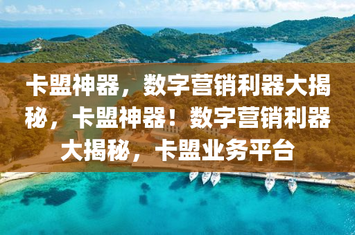 卡盟神器，数字营销利器大揭秘，卡盟神器！数字营销利器大揭秘，卡盟业务平台