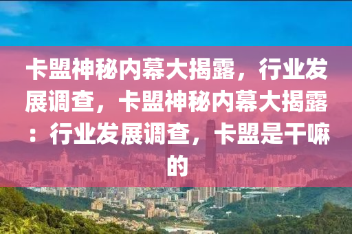 卡盟神秘内幕大揭露，行业发展调查，卡盟神秘内幕大揭露：行业发展调查，卡盟是干嘛的