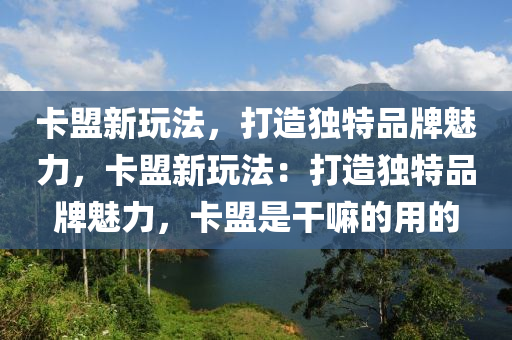 卡盟新玩法，打造独特品牌魅力，卡盟新玩法：打造独特品牌魅力，卡盟是干嘛的用的