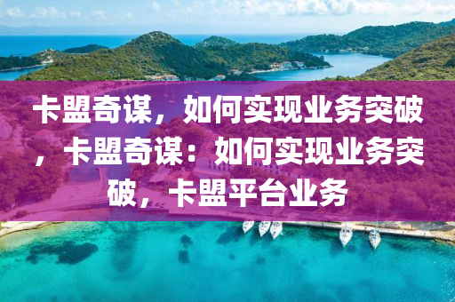 卡盟奇谋，如何实现业务突破，卡盟奇谋：如何实现业务突破，卡盟平台业务